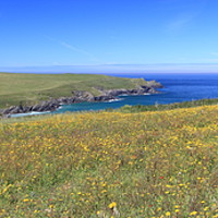 Buy canvas prints of Polly Joke Beach in Cornwall, Panoramic by Carl Whitfield