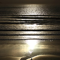 Buy canvas prints of Sunset Surfer at Polzeath. by Carl Whitfield