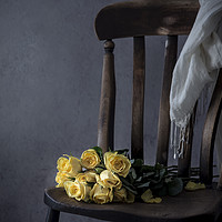 Buy canvas prints of Yellow roses by Denitsa Karan