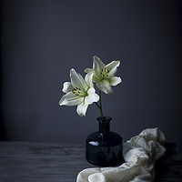 Buy canvas prints of Lillies in a vase by Denitsa Karan
