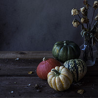 Buy canvas prints of Decorative pumpkins by Denitsa Karan