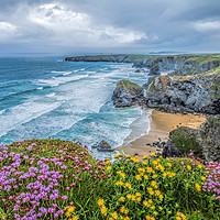 Buy canvas prints of Flowers on Bedruthan Steps in Spring by Peter Stephenson