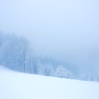 Buy canvas prints of Heavy Snowfall by imi koetz