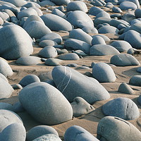 Buy canvas prints of Westward Ho! beach with rocks by Lucy Prentice