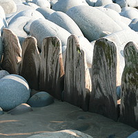 Buy canvas prints of Boulders and wood  by Lucy Prentice