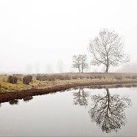 Buy canvas prints of Fog's in Needingworth  by Stephanie Veronique