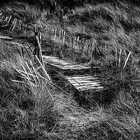 Buy canvas prints of Allonby Steps in Mono by John Frid
