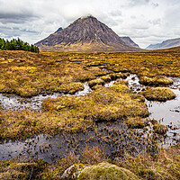 Buy canvas prints of Buchaille Etive Mor from The Kings House by John Frid
