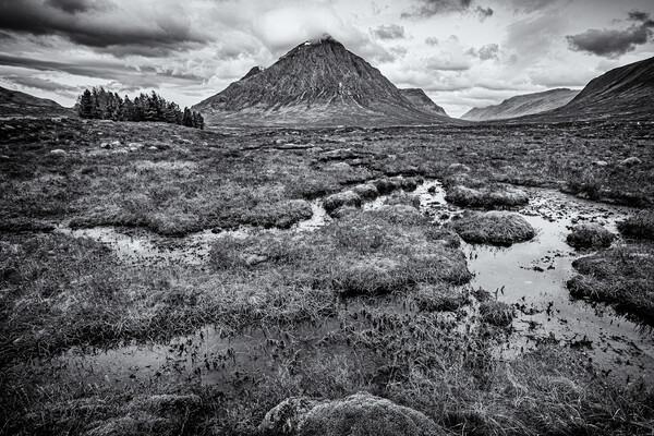 Buchaille Etive Mor from The Kings House in Monochrome Picture Board by John Frid