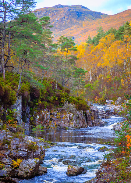 River Affric in Autumn Picture Board by John Frid