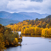 Buy canvas prints of Glen Affric in Autumn Colours by John Frid