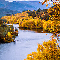 Buy canvas prints of Glen Affric in Autumn by John Frid