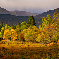 Buy canvas prints of Glen Affric Autumn Panorama by John Frid