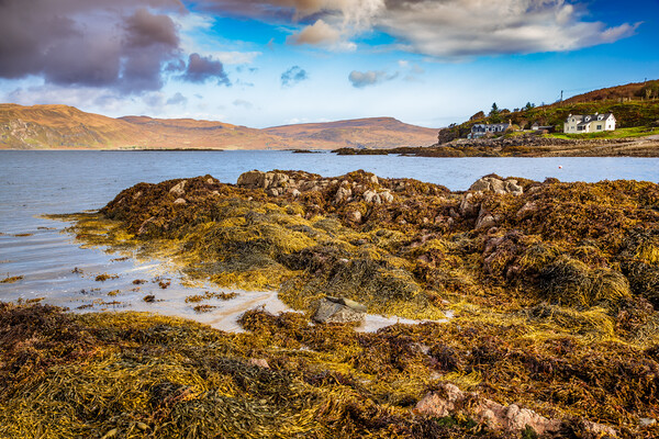Loch Eishort at Ord on the Isle of Skye Picture Board by John Frid