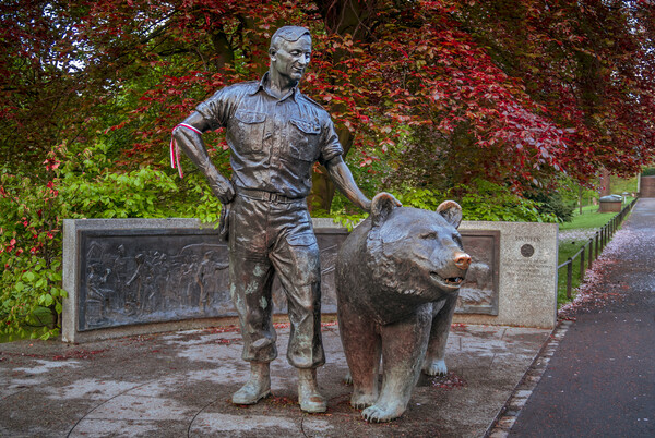 Wojtek the Soldier Bear Memorial Picture Board by John Frid