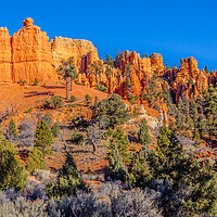 Buy canvas prints of Red Canyon Utah by John Frid