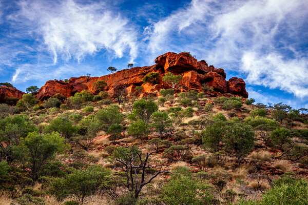 Kings Canyon Australia Picture Board by John Frid