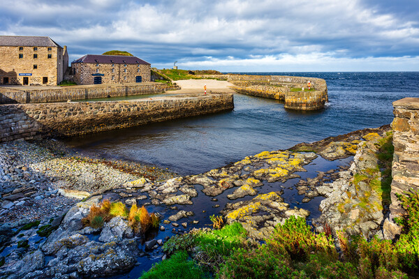 Portsoy Harbour Picture Board by John Frid