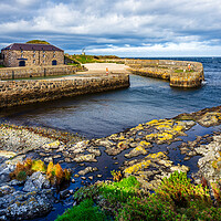 Buy canvas prints of Portsoy Harbour by John Frid