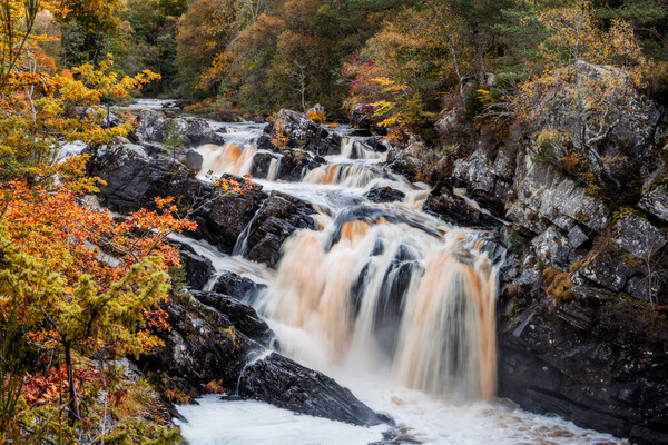 Rogie Falls in the Scottish Highlands Picture Board by John Frid