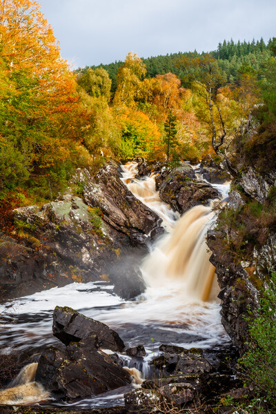 Rogie Falls in Full Spate Picture Board by John Frid