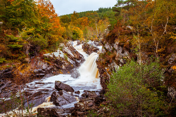 Blackwater River and Rogie Falls Picture Board by John Frid