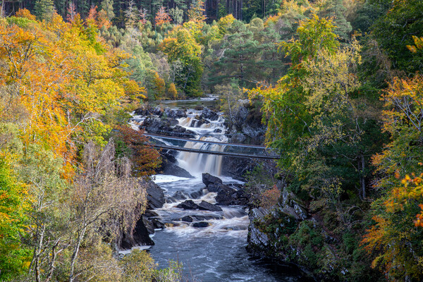 Rogie Falls and Ssuspension Bridge Picture Board by John Frid