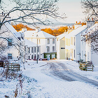 Buy canvas prints of Tornagrain in the snow by John Frid