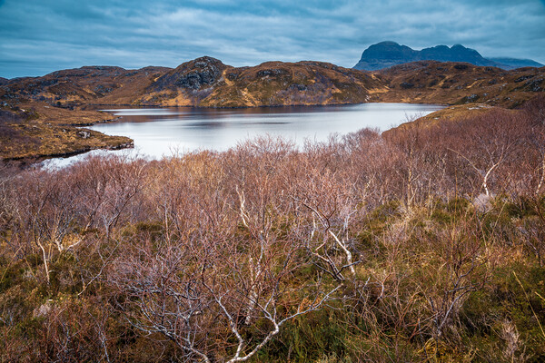 Loch Buine Moire and Suilven Picture Board by John Frid