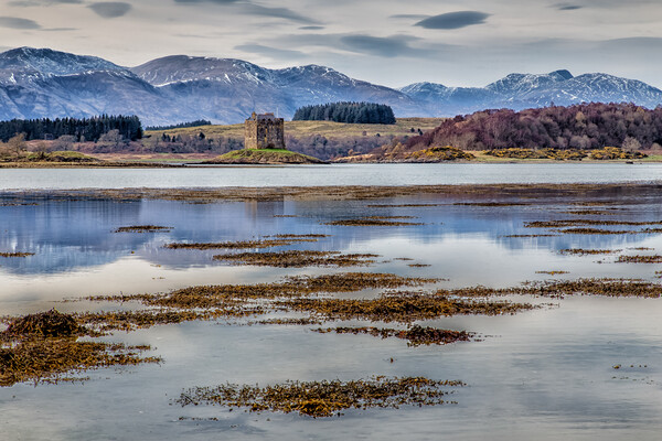 Castle Stalker on Loch Linnie Picture Board by John Frid