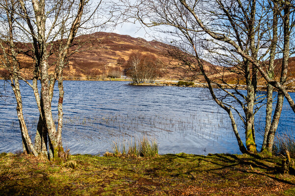 Loch Tarff in the Scottish Highlands Picture Board by John Frid