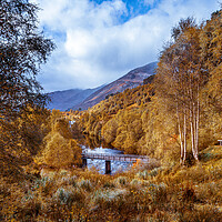 Buy canvas prints of Golden Autumn hues of Glen Affric by John Frid