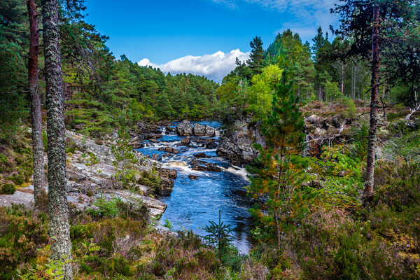 Blackwater River - Scottish Highlands Picture Board by John Frid