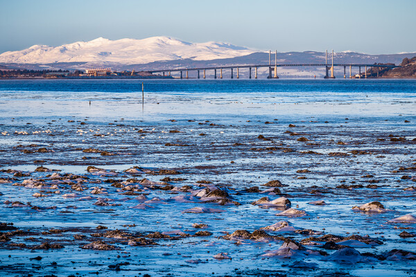 Kessock Bridge over the Moray Firth Picture Board by John Frid