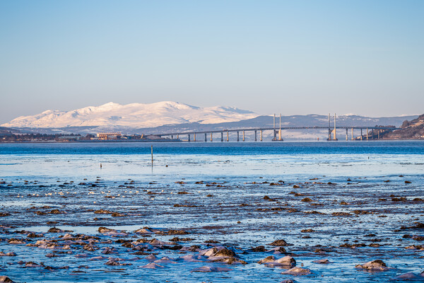 Moray Firth and Kessock Bridge Picture Board by John Frid