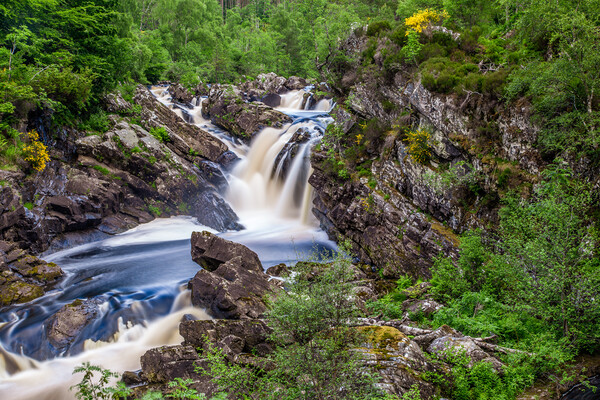 Rogie Falls - Ross and Cromarty Picture Board by John Frid