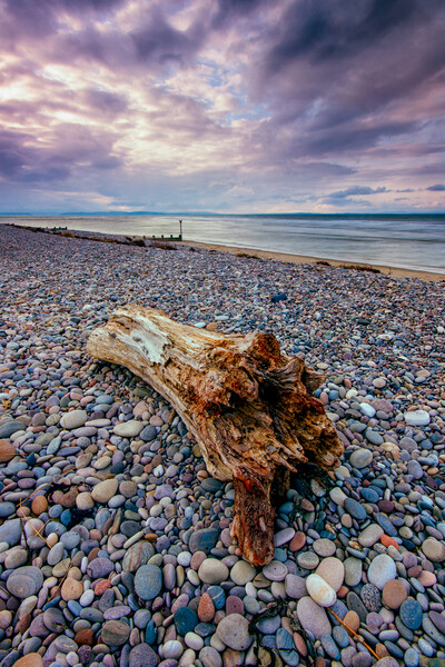 Findhorn Beach Driftwood Picture Board by John Frid