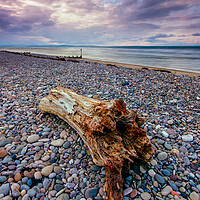 Buy canvas prints of Findhorn Beach Driftwood by John Frid