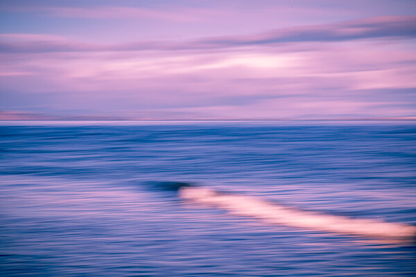 Waverush - Moray Firth Seascape Picture Board by John Frid