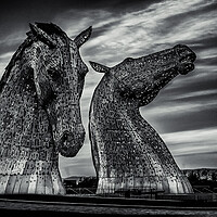 Buy canvas prints of The Kelpies in Black and White by John Frid