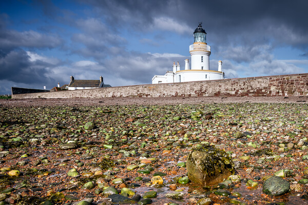 Chanonry Point Lighthouse - The Black Isle Picture Board by John Frid