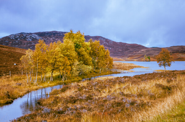 Loch Tarff - Scottish Highlands Picture Board by John Frid