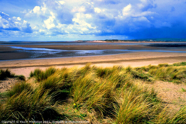 Instow Beach Dunes, North Devon Picture Board by Paul F Prestidge