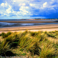 Buy canvas prints of Instow Beach Dunes, North Devon by Paul F Prestidge
