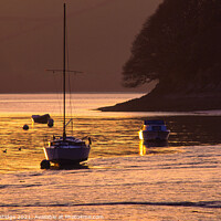 Buy canvas prints of Sunrise on the Golden River by Paul F Prestidge