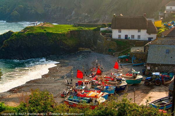 Cadgwith Cove, Cornwall Picture Board by Paul F Prestidge