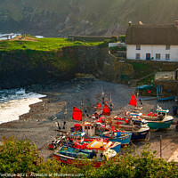 Buy canvas prints of Cadgwith Cove, Cornwall by Paul F Prestidge