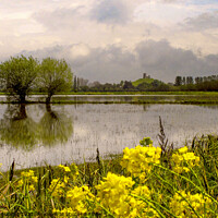 Buy canvas prints of Flooded Somerset Levels by Paul F Prestidge