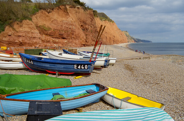 Boats on the Beach at Sidmouth Picture Board by Paul F Prestidge