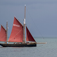 Buy canvas prints of The Majestic Pilgrim Sail Trawler by Paul F Prestidge